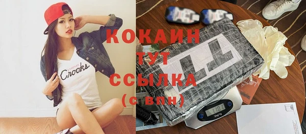 крисы Коряжма