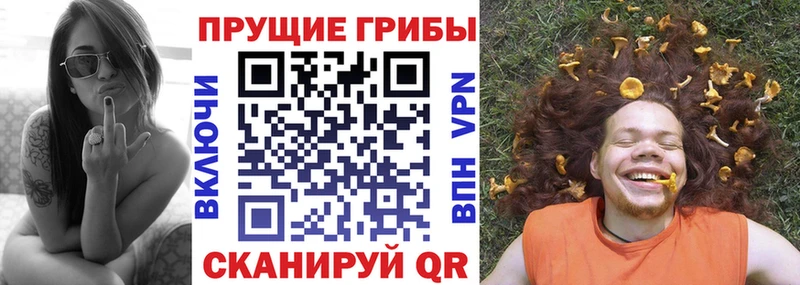 Псилоцибиновые грибы прущие грибы  Ладушкин 